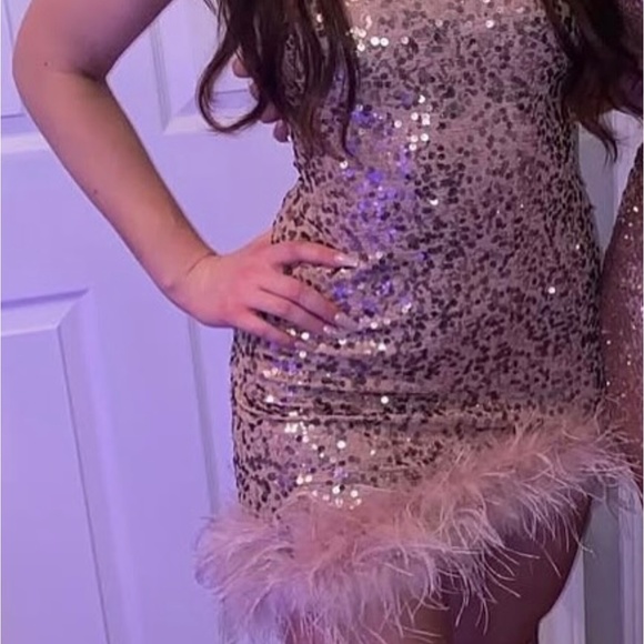Windsor Pink Sparkly Feather Dress - Picture 2 of 2